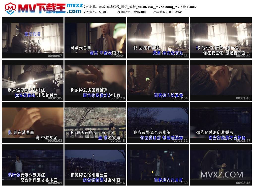 赖敏-真戏假做_国语_流行_MB407798
